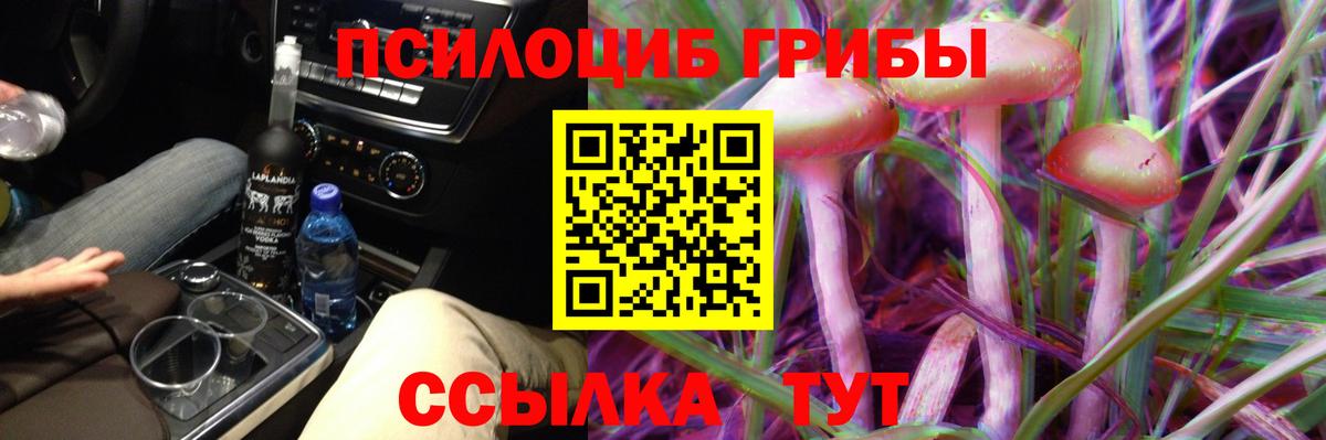 Псилоцибиновые грибы мицелий  Галлюциногенные грибы Psilocybe  Менделеевск  Вход с VPN 